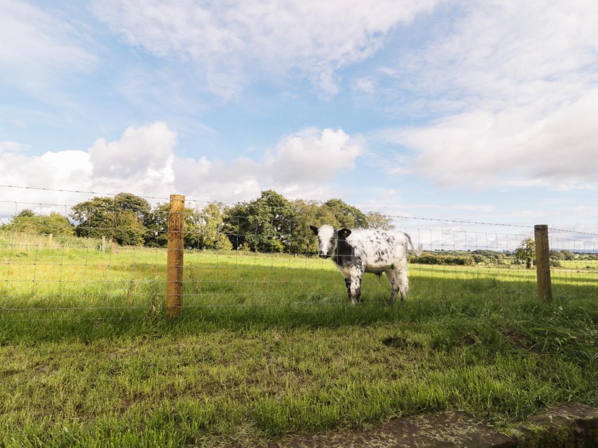 Faraway Cottage Kirklinton ภายนอก รูปภาพ